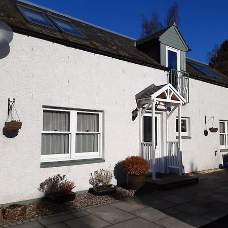 فيلا Pinewood Cotage - Country Walks And Relaxation Blairgowrie and Rattray المظهر الخارجي الصورة