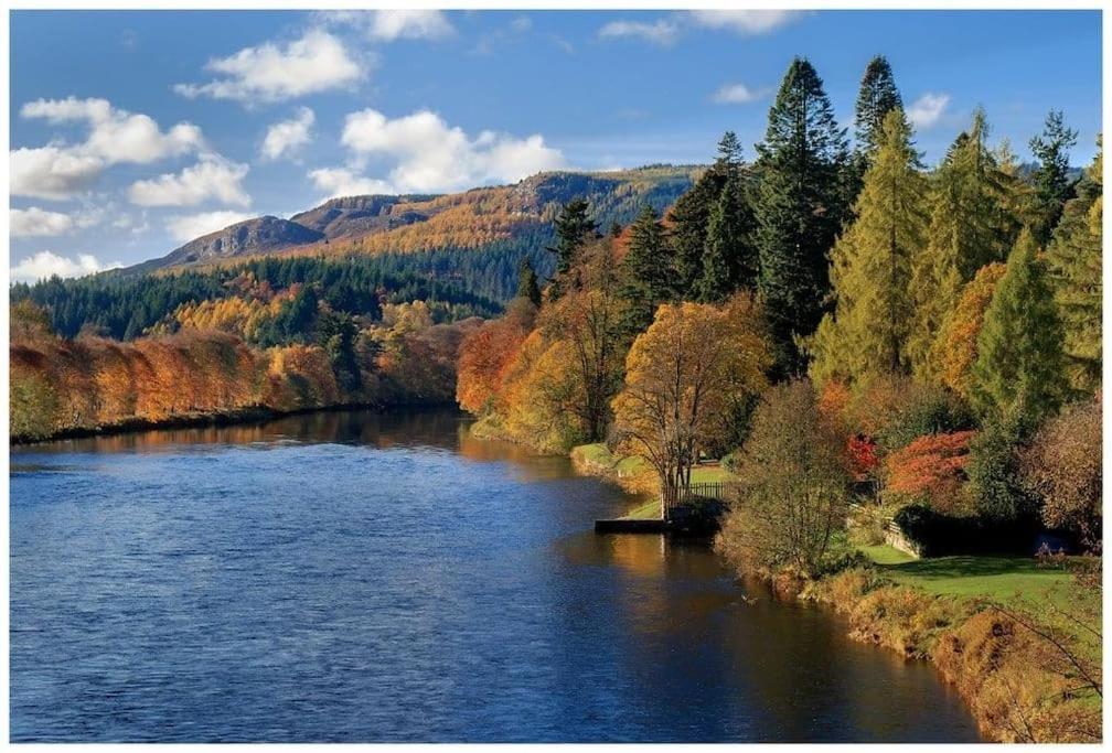 فيلا Pinewood Cotage - Country Walks And Relaxation Blairgowrie and Rattray المظهر الخارجي الصورة