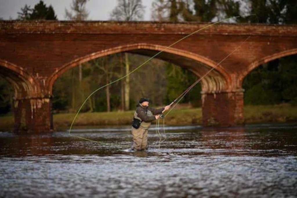 فيلا Pinewood Cotage - Country Walks And Relaxation Blairgowrie and Rattray المظهر الخارجي الصورة